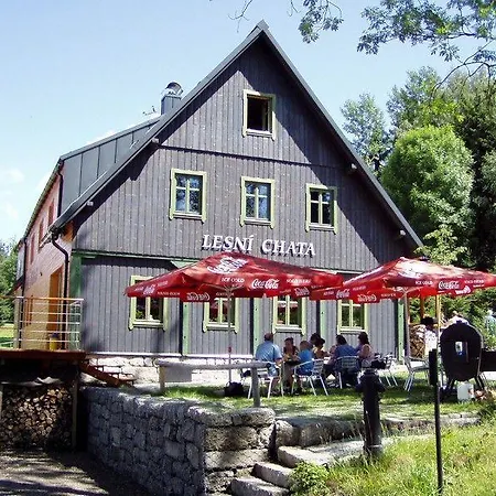 Guest house Lesni Chata *