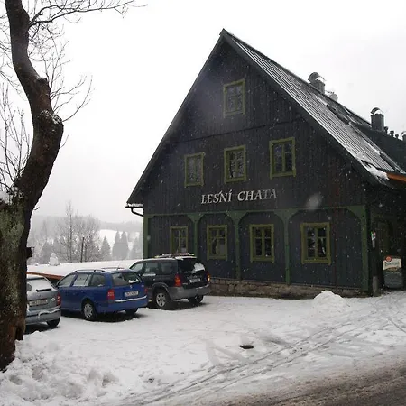 Guest house Lesni Chata