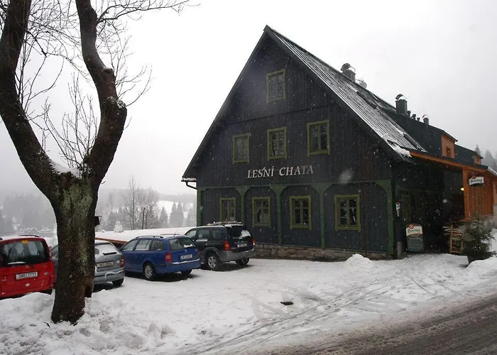 Penzion Lesní